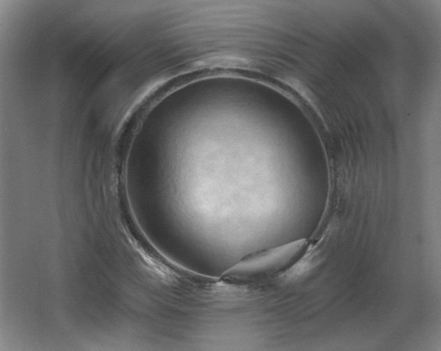 X0000068741115200604281132