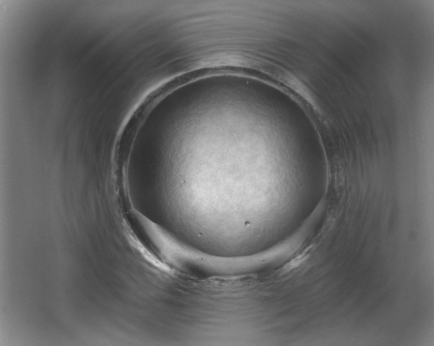 X0000068741116200604281132