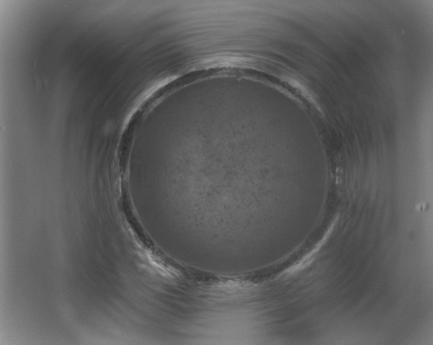 X0000068741117200604281132