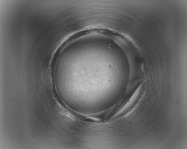 X0000068741118200604281132