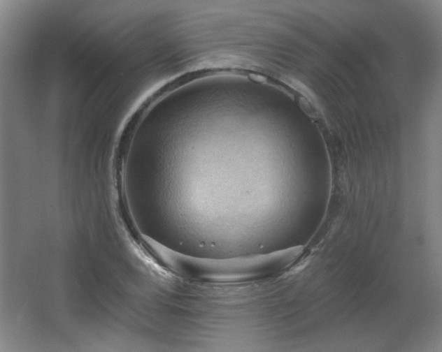 X0000068741120200604281132