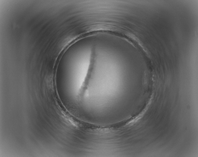 X0000068741121200604281132