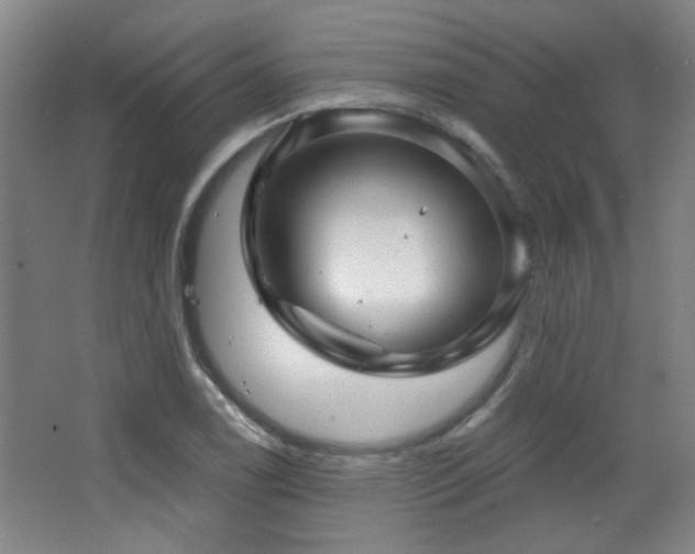 X0000068741122200604281132