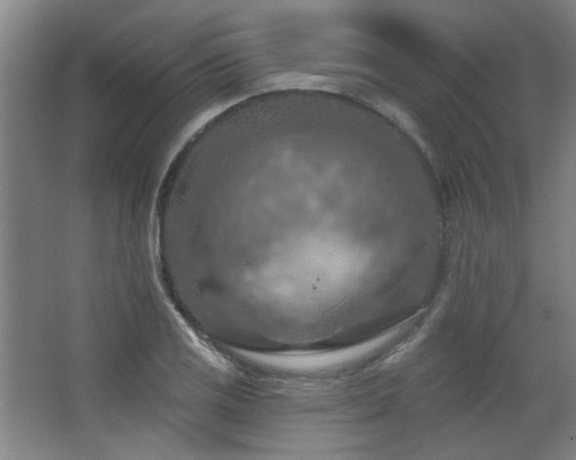 X0000068741125200604281132