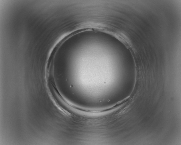 X0000068741128200604281132