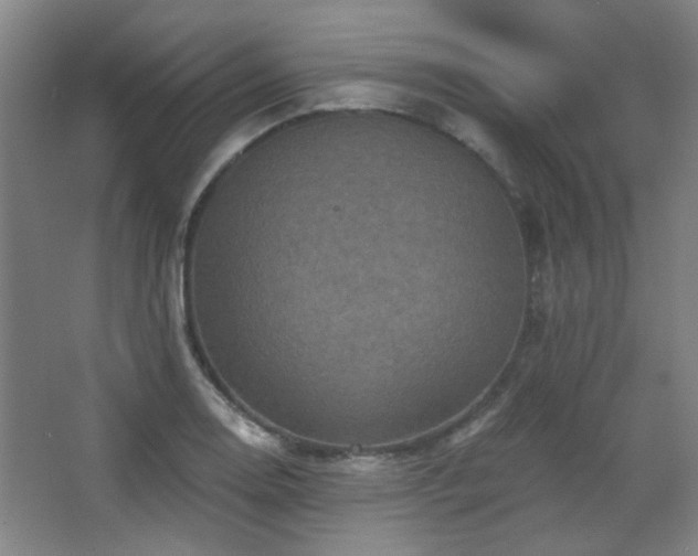 X0000068741130200604281132