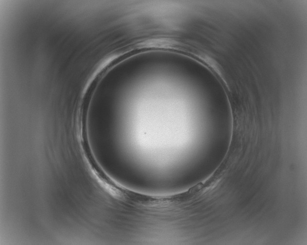 X0000068741131200604281132