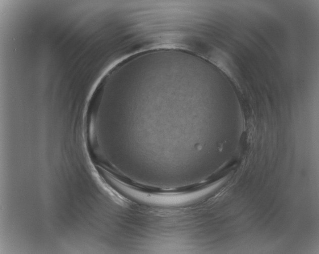 X0000068741132200604281132