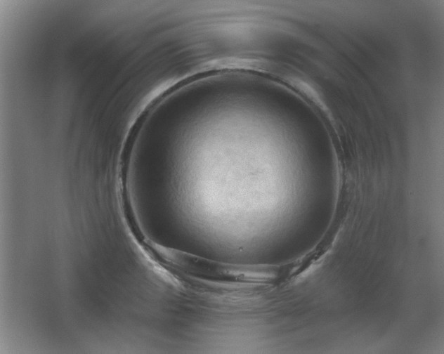 X0000068741133200604281133