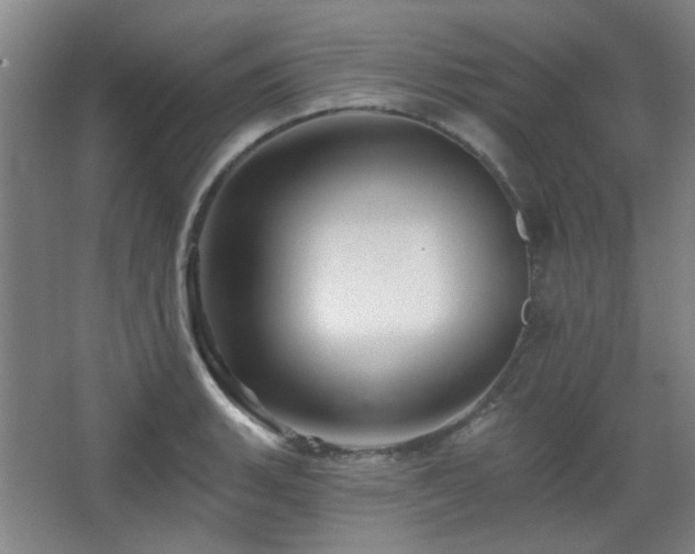 X0000068741135200604281133