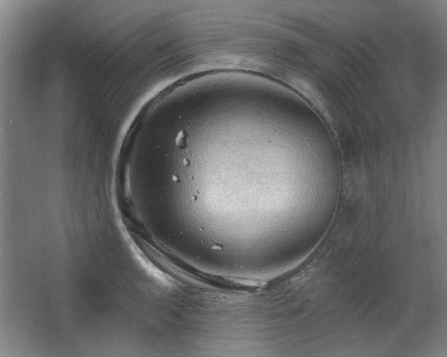 X0000068741136200604281133