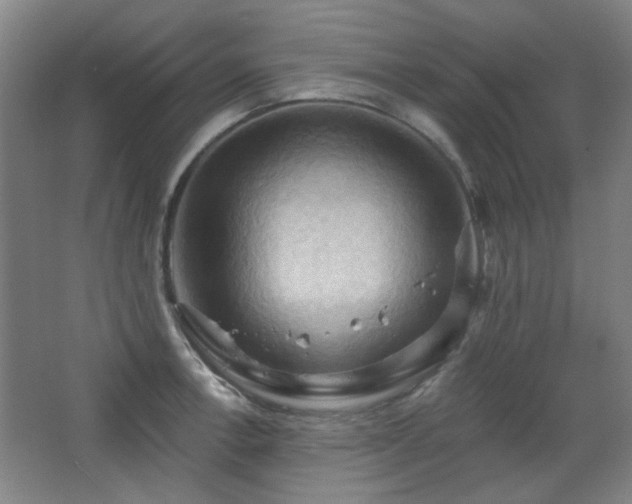 X0000068741138200604281133