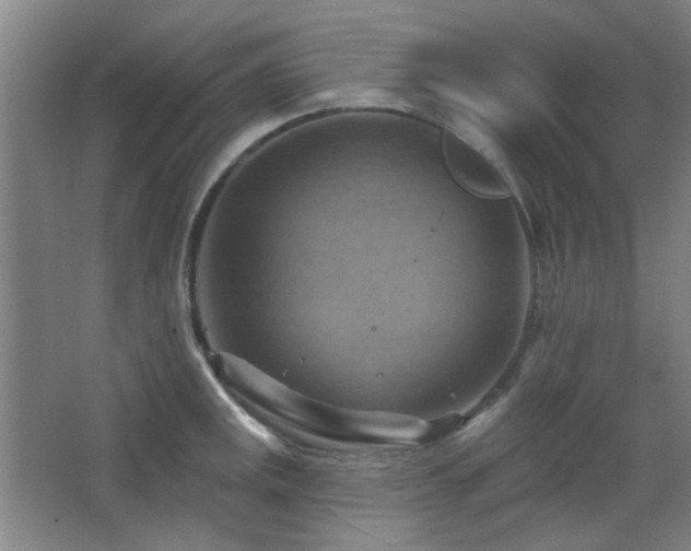 X0000068741141200604281133