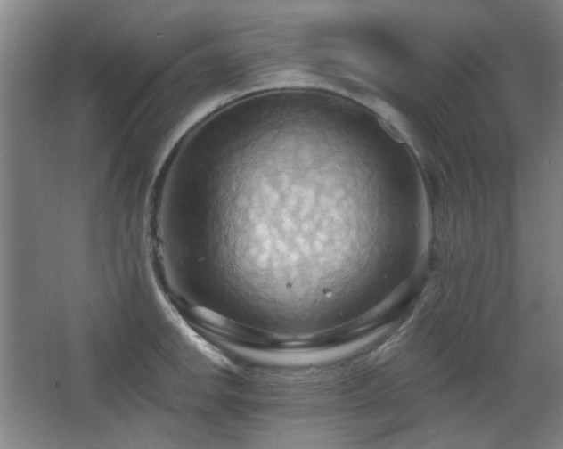 X0000068741142200604281133