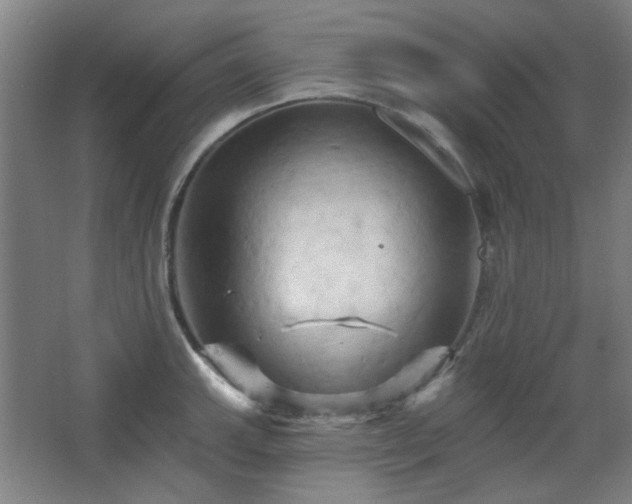 X0000068741143200604281133