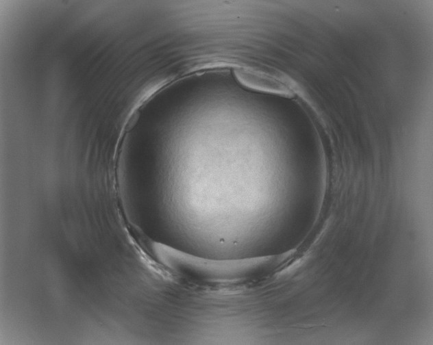 X0000068741145200604281133