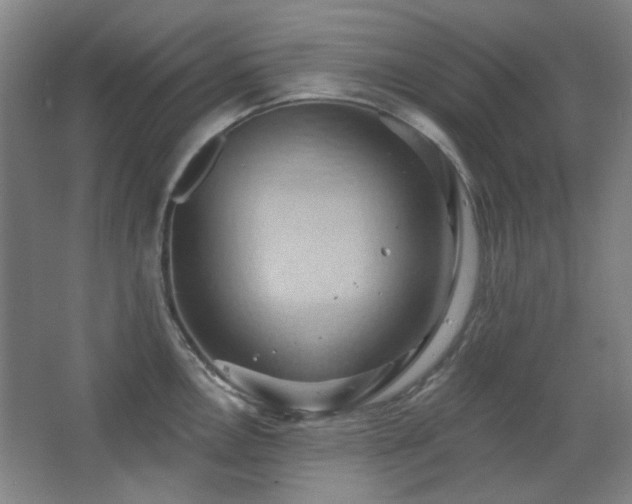 X0000068741146200604281133