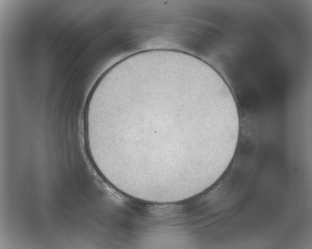 X0000068741150200604281133