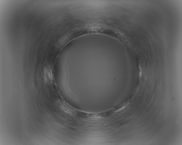 X0000068741155200604281132