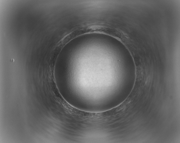 X0000068741158200604281132