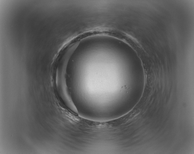 X0000068741160200604281132