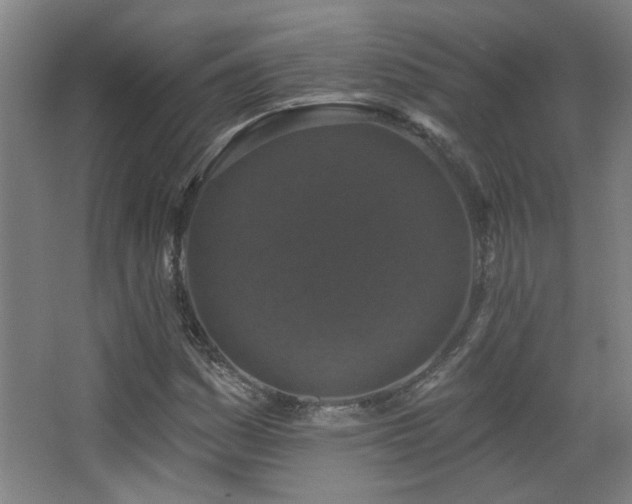 X0000068741161200604281132