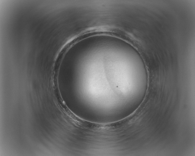 X0000068741166200604281132