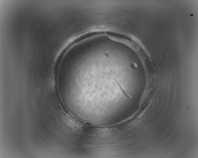 X0000068741167200604281132