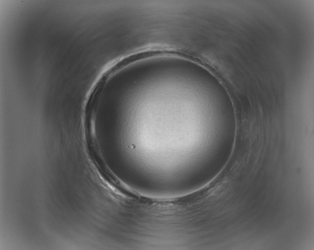 X0000068741168200604281132