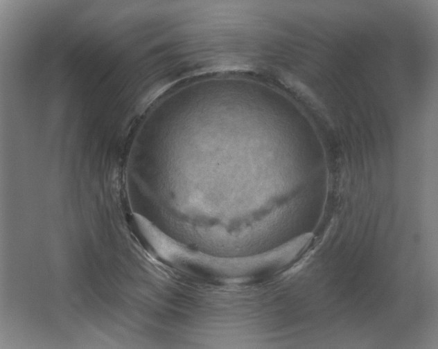 X0000068741169200604281132