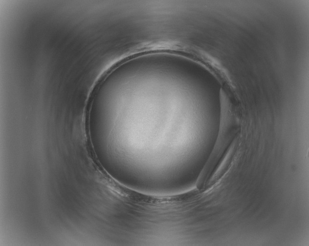 X0000068741174200604281132