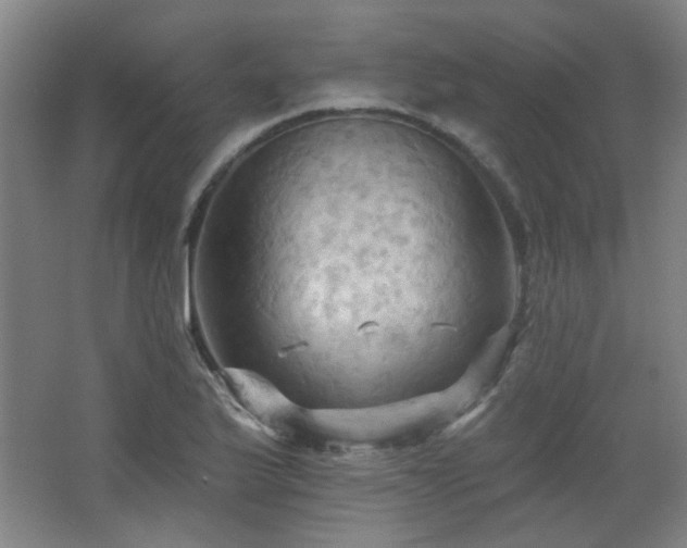 X0000068741175200604281132