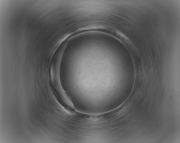 X0000068741177200604281132