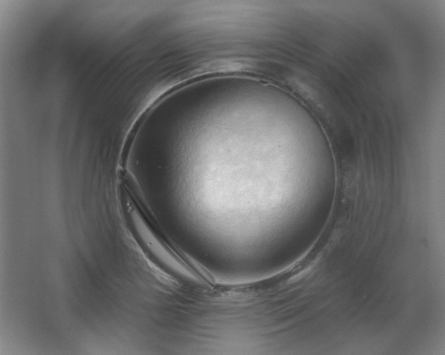 X0000068741178200604281132