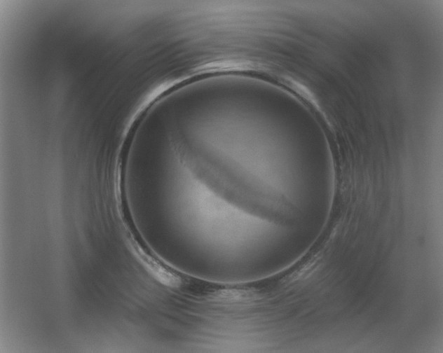 X0000068741179200604281132