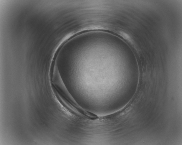 X0000068741181200604281132