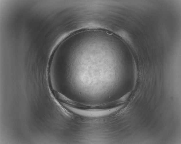 X0000068741183200604281132