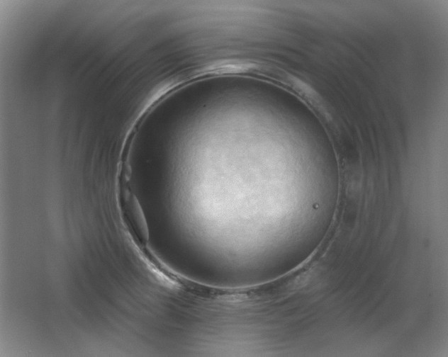 X0000068741186200604281131