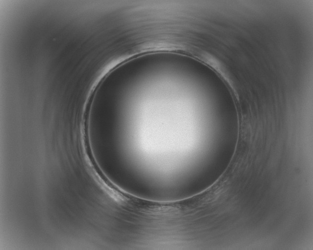 X0000068741187200604281131