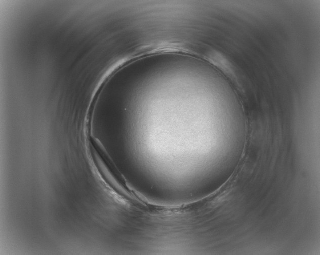 X0000068741190200604281131