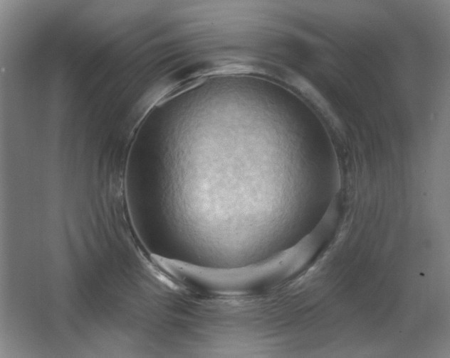 X0000068741193200604281131