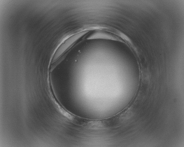 X0000068741194200604281131