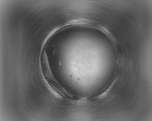 X0000068741196200604281131