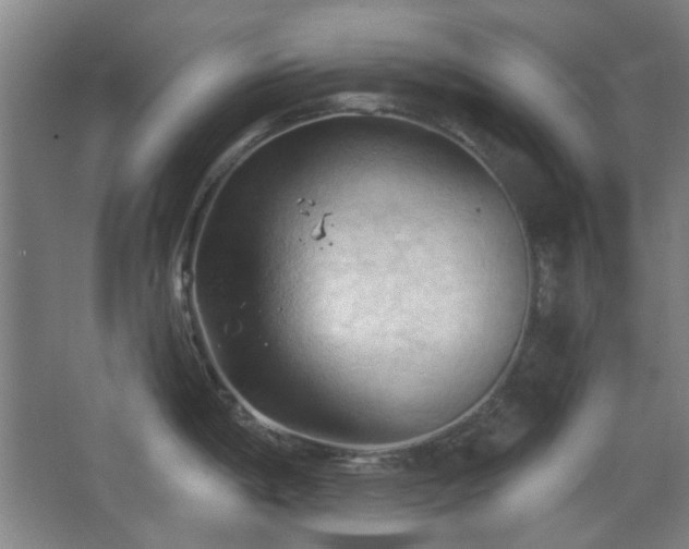 X0000068741198200604281131