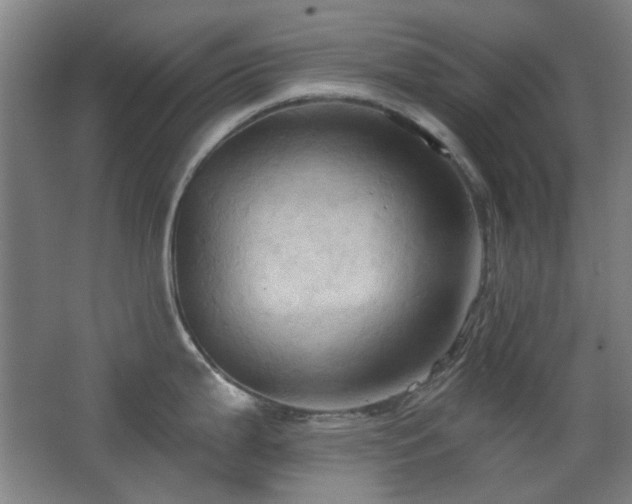 X0000068741199200604281131