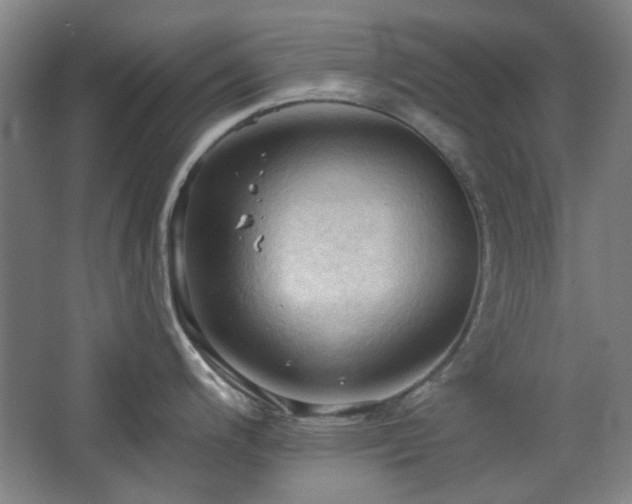 X0000068741200200604281131