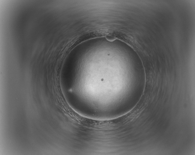 X0000068741201200604281130