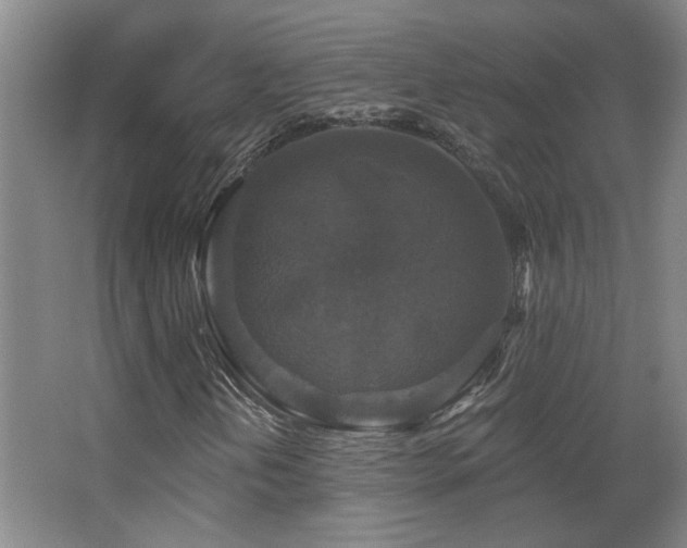 X0000068741202200604281130