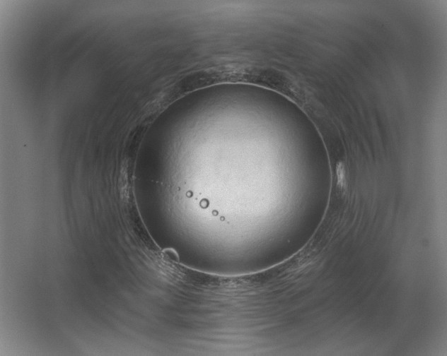 X0000068741203200604281130