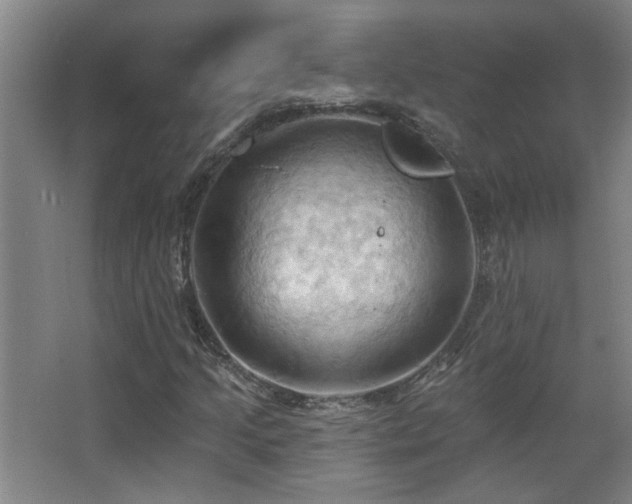 X0000068741205200604281130